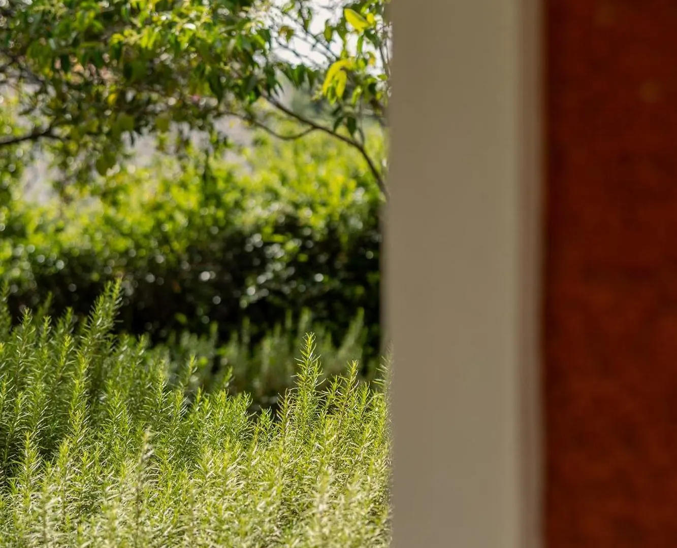 Villehardouin Farm Estate, Studios & Apartments, Minia, Kefalonia Argostoli  Argostoli (Kefalonia)